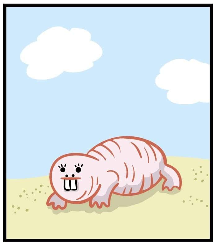 hgDrmHn.jpg