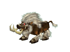 Img252981275.gif