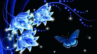 blue-rose-wallpaper-hd-for-mobile.jpg