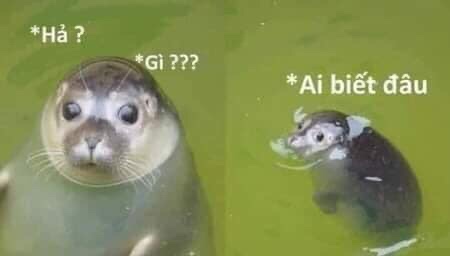 ABPDeTB.jpg