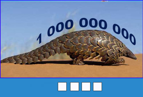 2-3589-1424437823_r_460x0.jpg