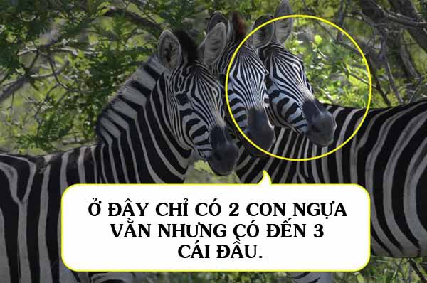 10a-1666586865-277-width600height398.jpg