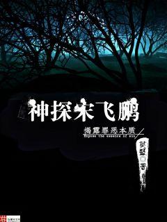 神探宋飞鹏