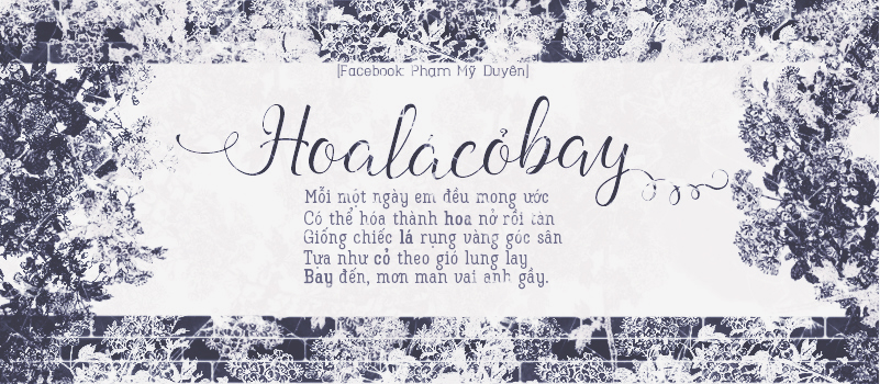 QoBadAo.jpg