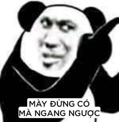 6af0bd8b512ae10d9cac768627020395.jpg