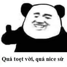 350 Gấu trúc weibo- meme ngộ ý tưởng trong 2021 | gấu trúc, hài hước, gấu