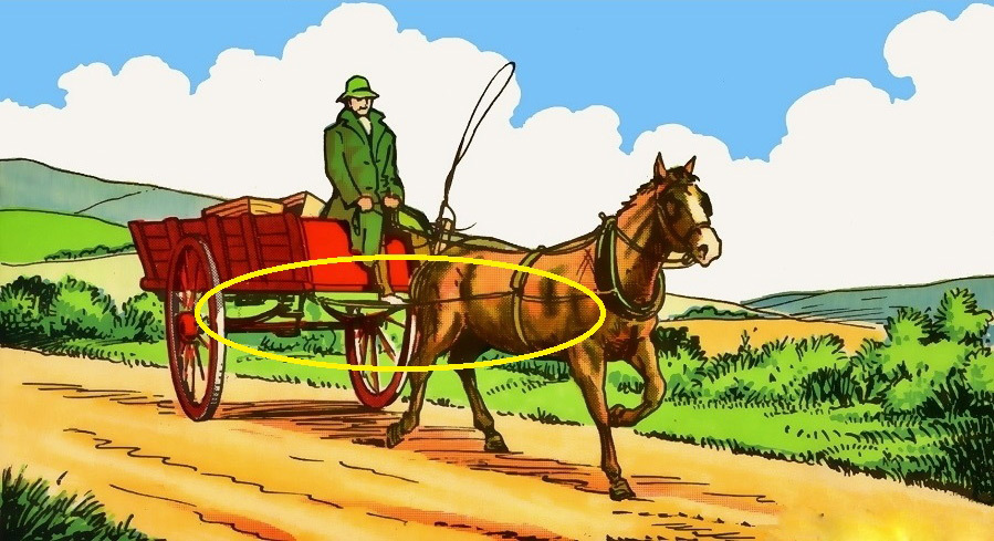 a5-3085-1660558302_r_460x0.jpg