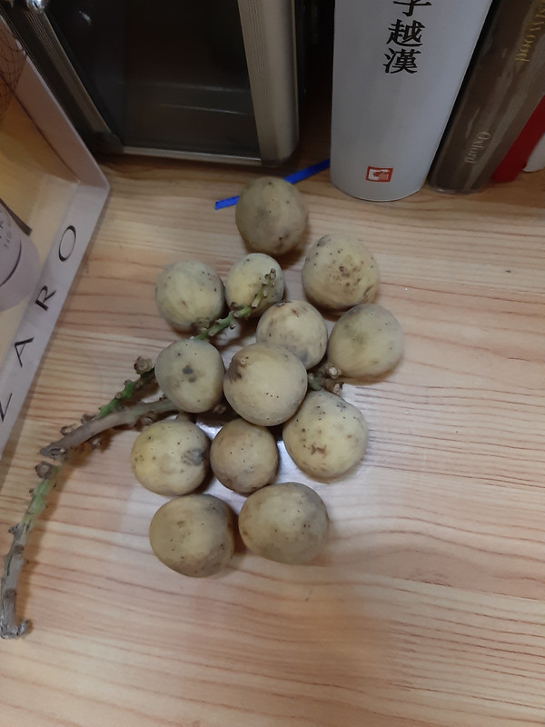 20190616-010942.jpg