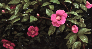 tumblr-p5pttc65-Tj1wu4410o1-500.gif