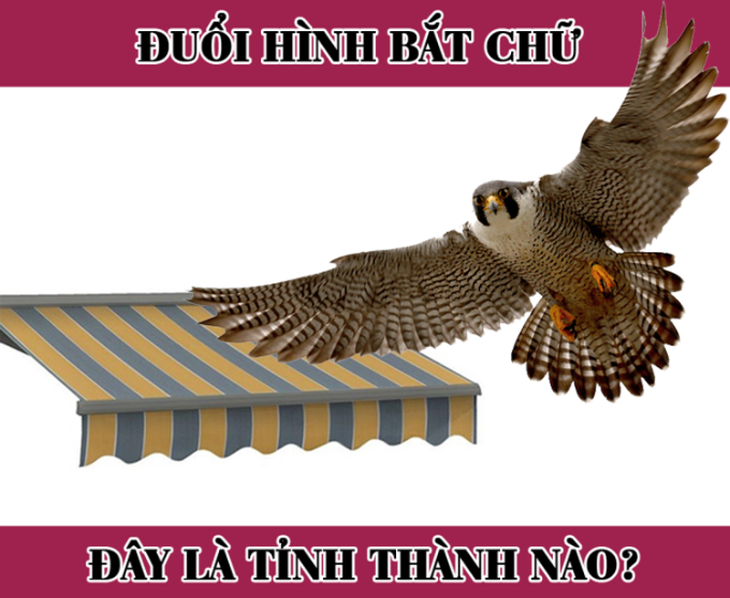 tinh-nao-1679989885283491566385.png