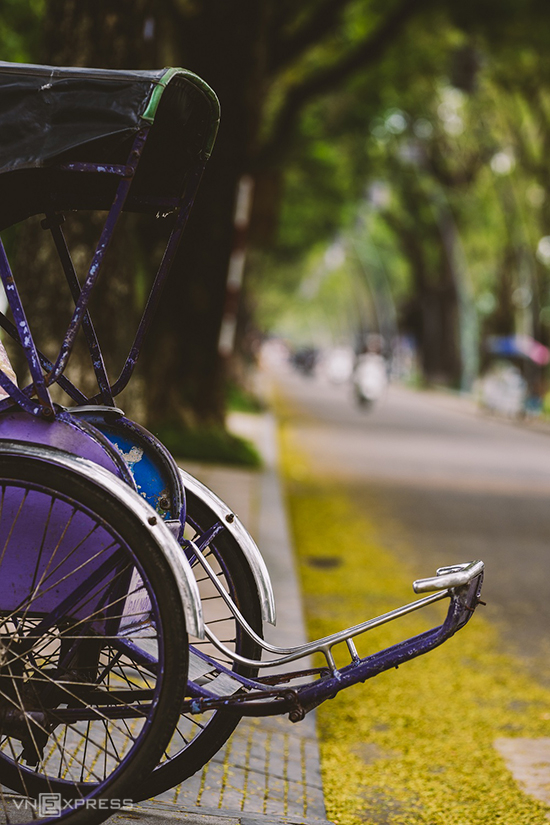 Mùa lá phượng bay cuối thu ở Huế