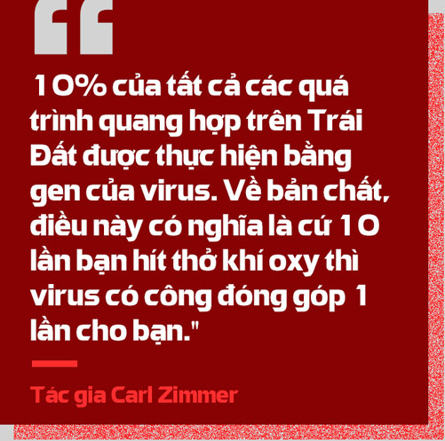 tab1-quote01.jpg