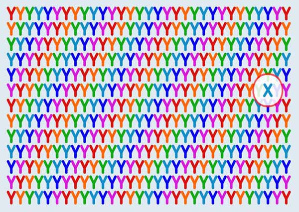 15a-1667878768-275-width600height426.jpg