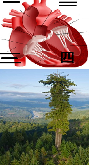 KEF3wOE.png