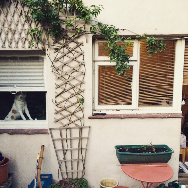 find-cats14-7998-1654654140_r_460x0.jpg