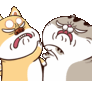 K4Yro2A.gif