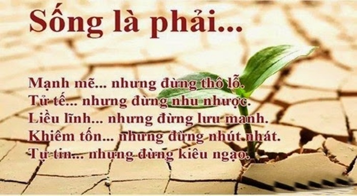 hinh-anh-nhung-cau-noi-bat-hu-hay-nhat-ve-cuoc-song-cuc-y-nghia-4.jpg