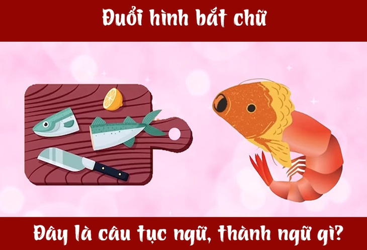vat-dau-ca-1-1713768689019336777255.jpg