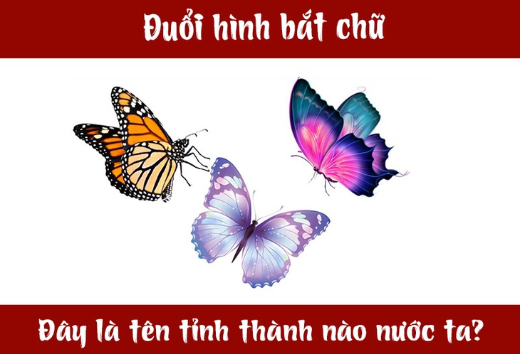 tam-hiep-1-1715210281886341292251.jpg