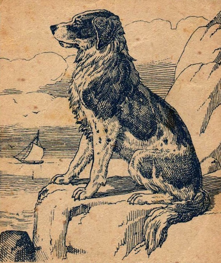 Chủ nhân của chú chó Hachiko đang đứng ở đâu?- Ảnh 1. Chủ nhân của chú chó Hachiko đang đứng ở đâu?- Ảnh 1.