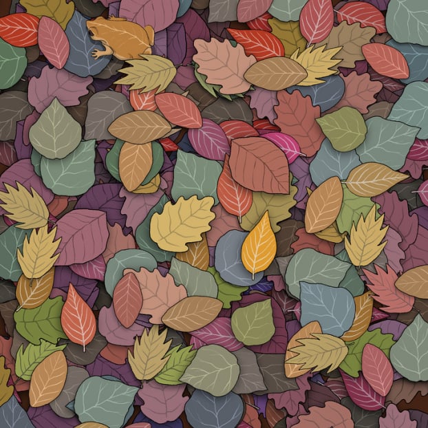 Câu đố: Tìm đồ vật bị giấu trong 15 bức tranh thử tài quan sát của bạn 11 Câu đố: Tìm đồ vật bị giấu trong 15 bức tranh thử tài quan sát của bạn 11