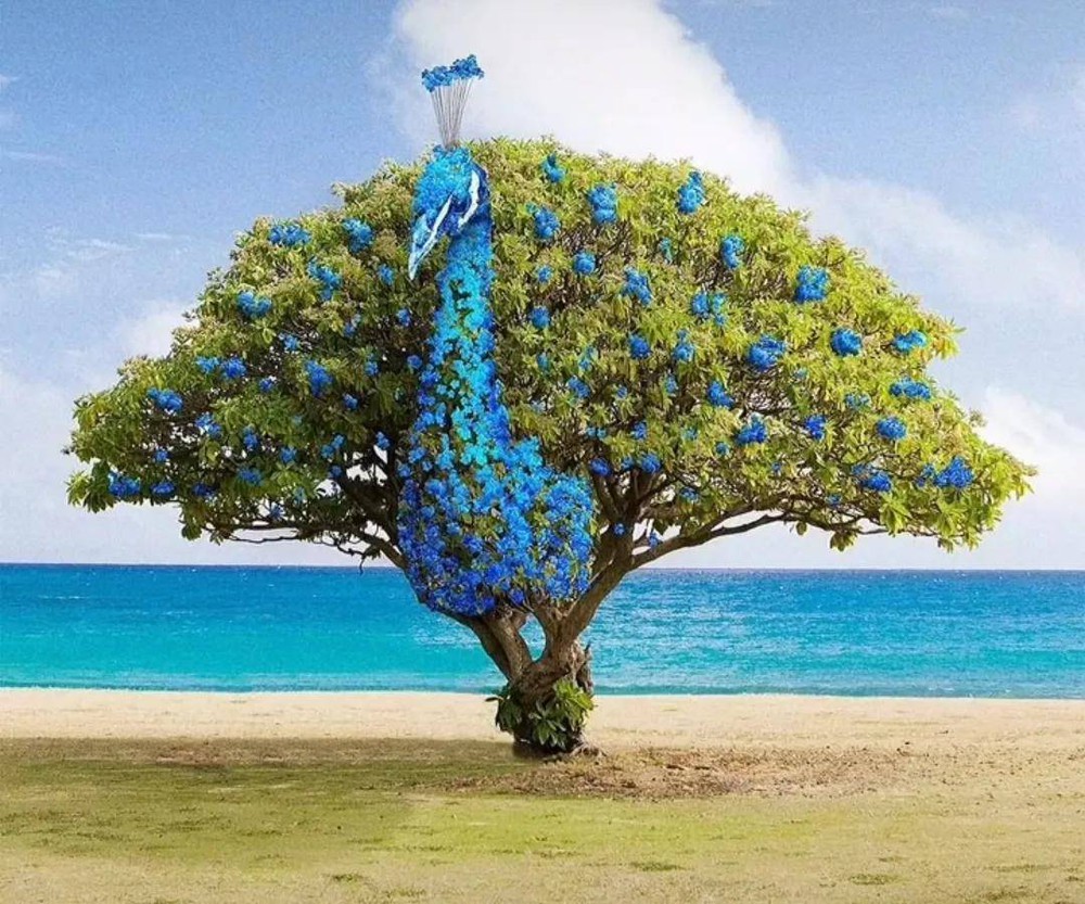 Trắc nghiệm tâm lý: Bạn nhìn thấy cái cây hay con công đầu tiên trong tranh? - Ảnh 1. Trắc nghiệm tâm lý: Bạn nhìn thấy cái cây hay con công đầu tiên trong tranh? - Ảnh 1.