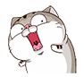 :6ztiwqu: