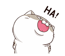 :a533doe: