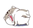 :p6gulnr:
