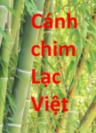 Canh-chim-lac-Viet